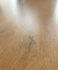 �Ƽ����ľ��ש��ůɫ���ոպã�