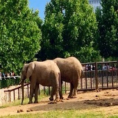 ���β������ܲ�ȥ��