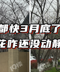 ·���ŵϺͲ��ŷ��ֶ�û��