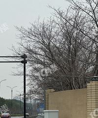 �ٱ��������ӣ������û�ж�����