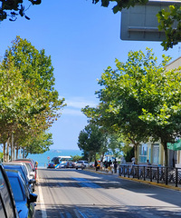 91�����й�����~�Ҷ���~