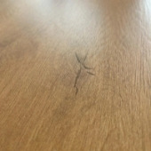 �Ƽ����ľ��ש��