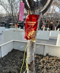 �������ʣ������ӣ���������ܽд�����