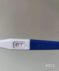 ֮ǰ����������̥