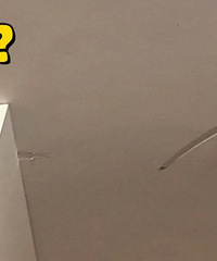 ���ˣ��¹��Ű�������컨�壡