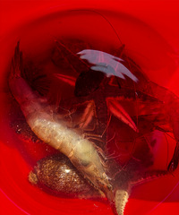 ��ˮ�����������ĳɹ������в���