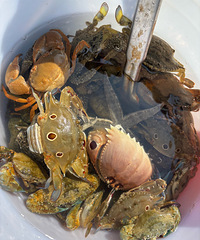 ��ˮ�����������ĳɹ������в���