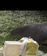 �Ը�����ϲ�����������98��˹��С����Ů�� С�Թ���ֻСè