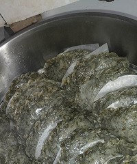 һ��һ�ε������@ ����Ҳ����ǰ����������������һ��