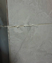 ����ǽ���ﳤ����ʲôѽ����ʲôȥ���İ취��