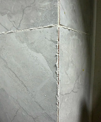 [����]����ǽ���ﳤ����ʲôѽ����ʲôȥ���İ취��