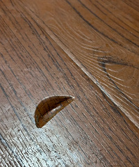 [����]�ذ��ϱ�����һ����ӣ�����ô�޸���