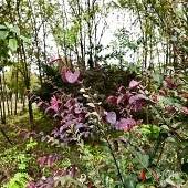 ��ĩ����ȥ������