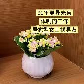 91�Ӽ�������Ů����