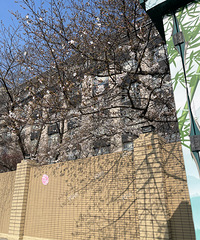 �ٱ����Ĺ�·��ӣ�����ƿ�Ҫ���ˣ�