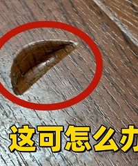 �������ذ��ϵĿ���ô�޸���