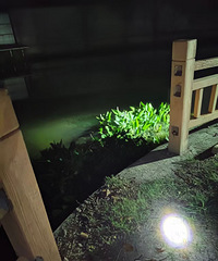 [��ͼ�ع�]ĳ��ҵ�㿴���������ˮƽ ��֪������ҵ�ѣ�