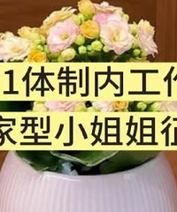 �Ӽ���������Ů����