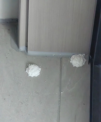 ���ӽ��䶼�������ĩ��ʲô��