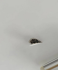 �ھ�װ�ް��컨��ͱ���ˣ��⳥��ôŪ���ʣ��ⷿ�ӻ�������