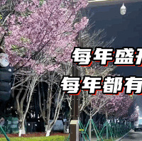 ���ѣ����žͻ��