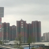 �ó�������棡