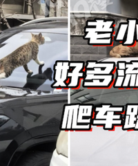 �����ǽ�����