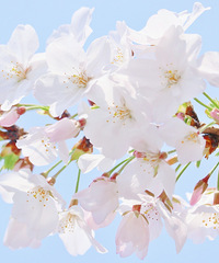 �Ĺ�·��ӣ�����ˣ�����ȥ��ӣ�ˣ�