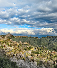 ��شɽ8.8km����ɣ�������ͽ������