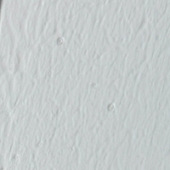 ��������������ɶԭ��