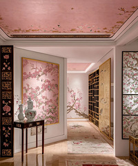 [װ��]����ʽ���������������أ�������ʽ�й���̫Ư���ˣ�