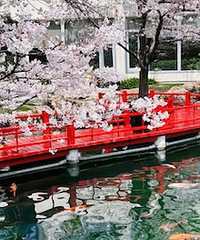 �ŵϵ�ӣ���Ѿ����� �Ͻ�ȥ����