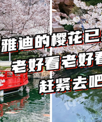 �ٱ����ٱ����ٱ���