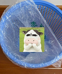 �������ƽ�Լ���������޷����ܵ���Ϊ����Щ��