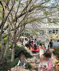 [����]��ĩ���ŵ�ȫ���˺ͳ�������������ӣ���ġ�