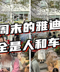 �����ã���������ӣ���ģ�