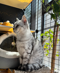 [����]��һ�����پ����ˣ����Լ������� ����ȷʵҲ����