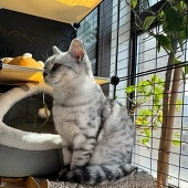 ��һ�Ѿ���������