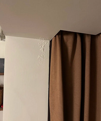 [������]Ʈ����ˮ��ɶԭ��ǰ��Ҳ©��һ��...