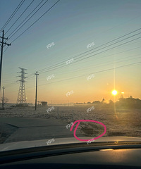 ��ò���ʣ���������С�����Ǹ�ʲô��ѽ��