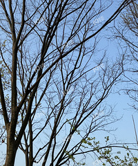 ��֪��Ϊʲôһ����һ����������������ˡ�