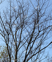 ��֪��Ϊʲôһ����һ����������������ˡ�