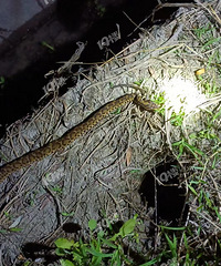 ����ʲô�ߣ�����ܶ������ӣ����ϵ������Ҫע�Ⱑ��ң�