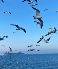 ���ڵ������˶�����Ǯ�ˣ���Ĳ�����δ������