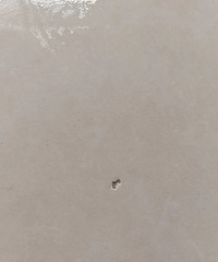 [װ��]��ש�����˲�С�Ŀ����ˣ�������ٺ����أ�