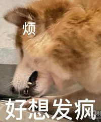 [����]�涨ʱ����װ�޻���ͣ����Ͷ�ߣ������������ȣ�