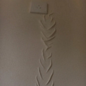 �����������ˣ���