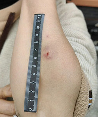 �����������޹���ǣ���������� �����˱������ˣ�