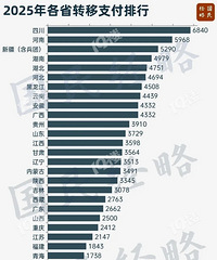 10���ڲ���ת��֧������˭�����ˣ�2025��ʡ������