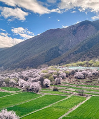 ������һ�Ͷ���ȥ���� ǰ���첻��ϴ��Ⱦ��������